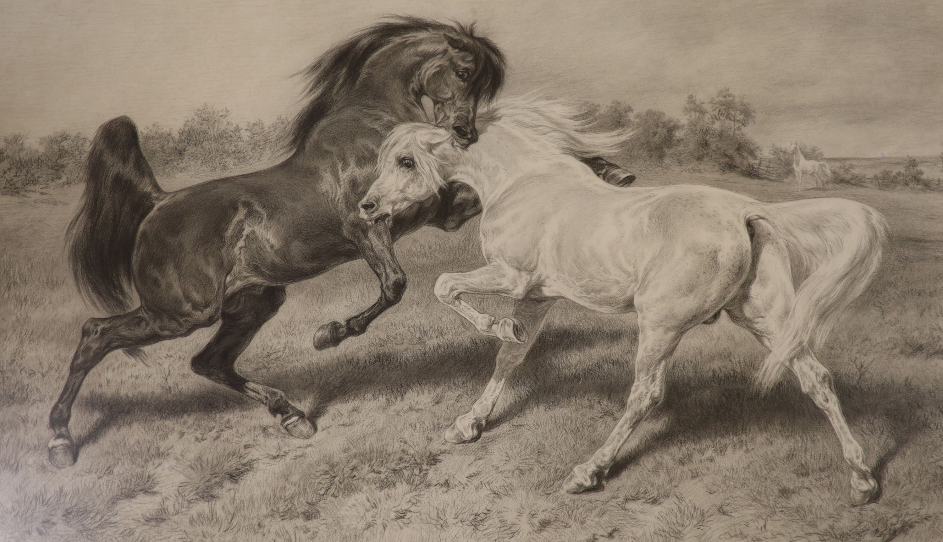 Rosa Bonheur (1822-1899), charcoal and chalk, Stallion and mare, signed and dated 1896, 52 x 84cm